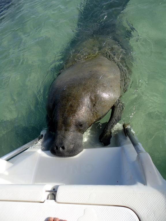 ホテル ポーサダ サブリナ Maceió エクステリア 写真