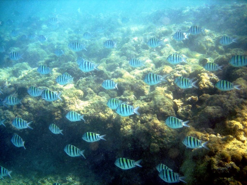 ホテル ポーサダ サブリナ Maceió エクステリア 写真
