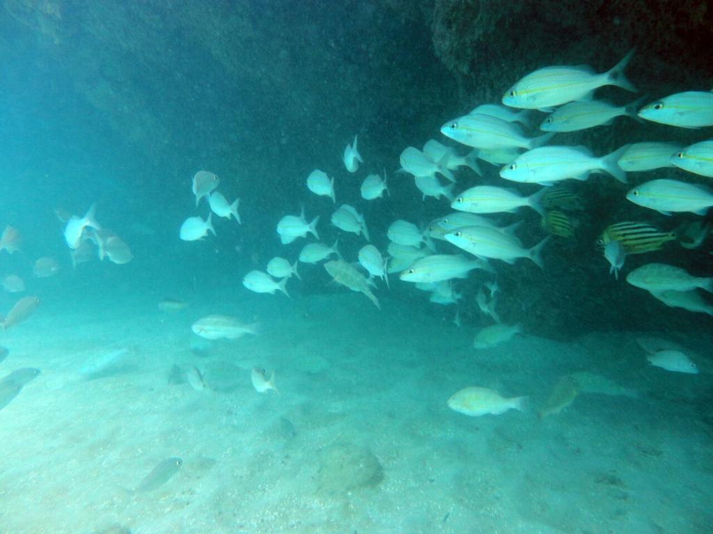 ホテル ポーサダ サブリナ Maceió エクステリア 写真