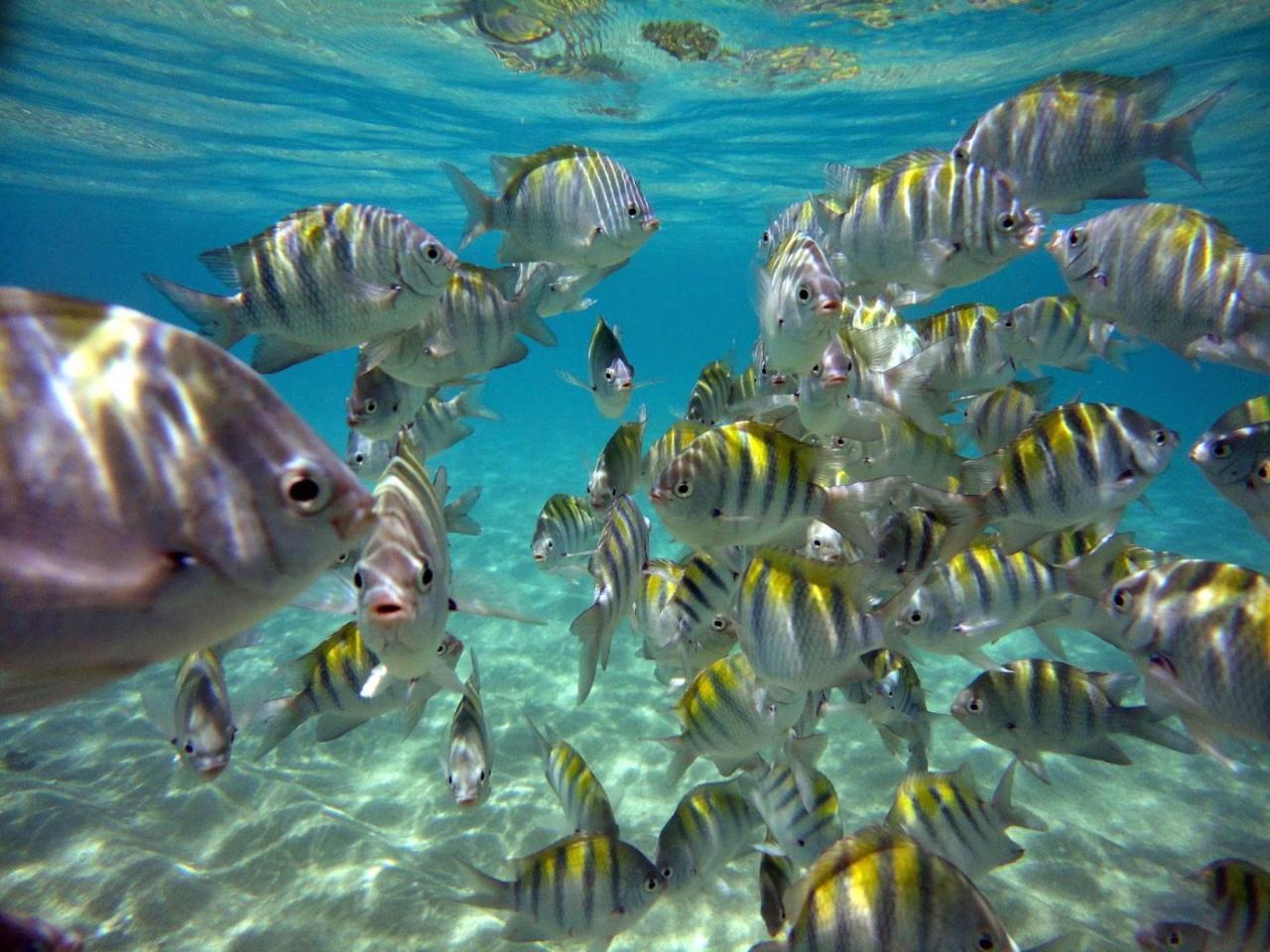 ホテル ポーサダ サブリナ Maceió エクステリア 写真